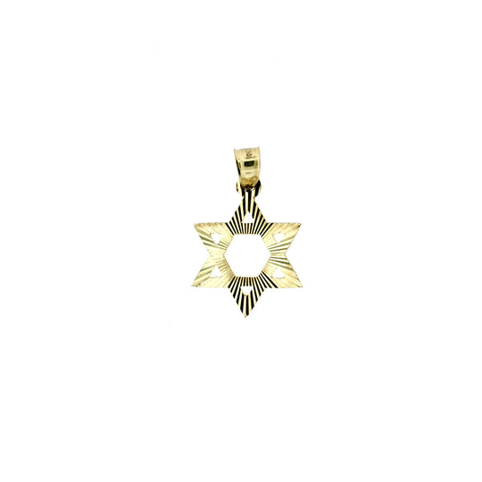 Mens Real 10K Yellow Gold Diamond Cut Star of David Pendant &amp; 2mm Rope Chain Necklace Set