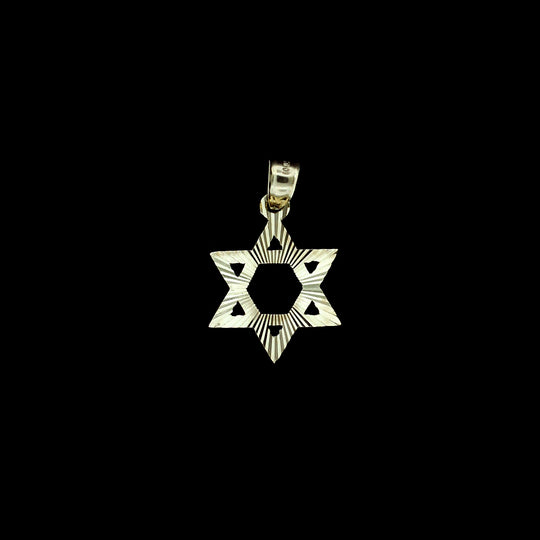 Mens Real 10K Yellow Gold Diamond Cut Star Of David Pendant, 10KT Gold Charm