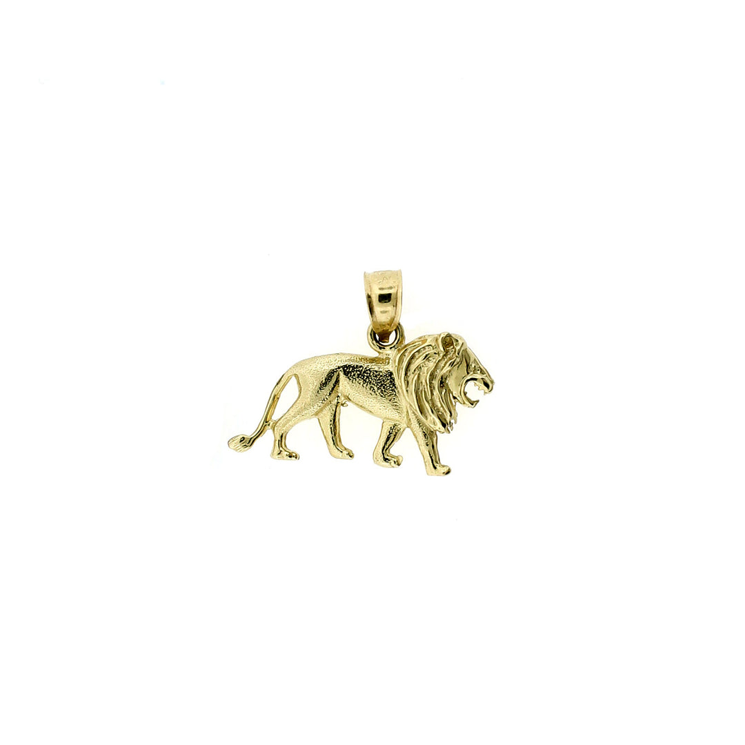 Real 10K Yellow Gold Diamond Cut Lion Pendant &amp; 2.5mm Rope Chain Necklace Set