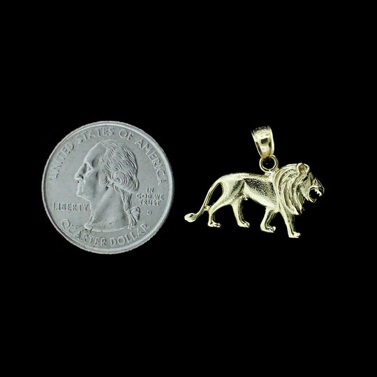Real 10K Yellow Gold Diamond Cut Lion Pendant &amp; 2.5mm Rope Chain Necklace Set