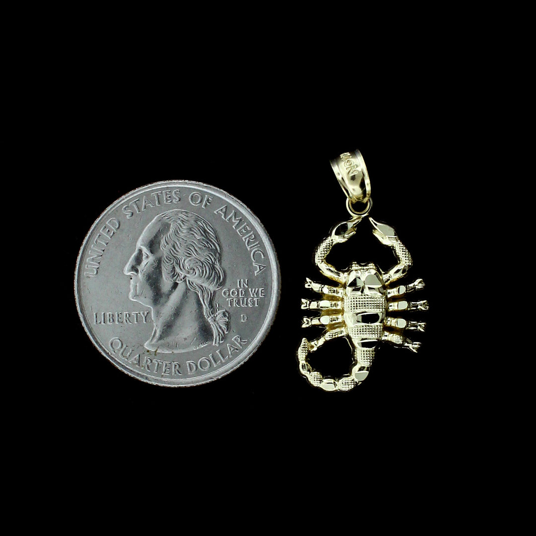Real 10K Yellow Gold Zodiac Sign Scorpion Pendant &amp; 2.5mm Rope Chain Necklace Set