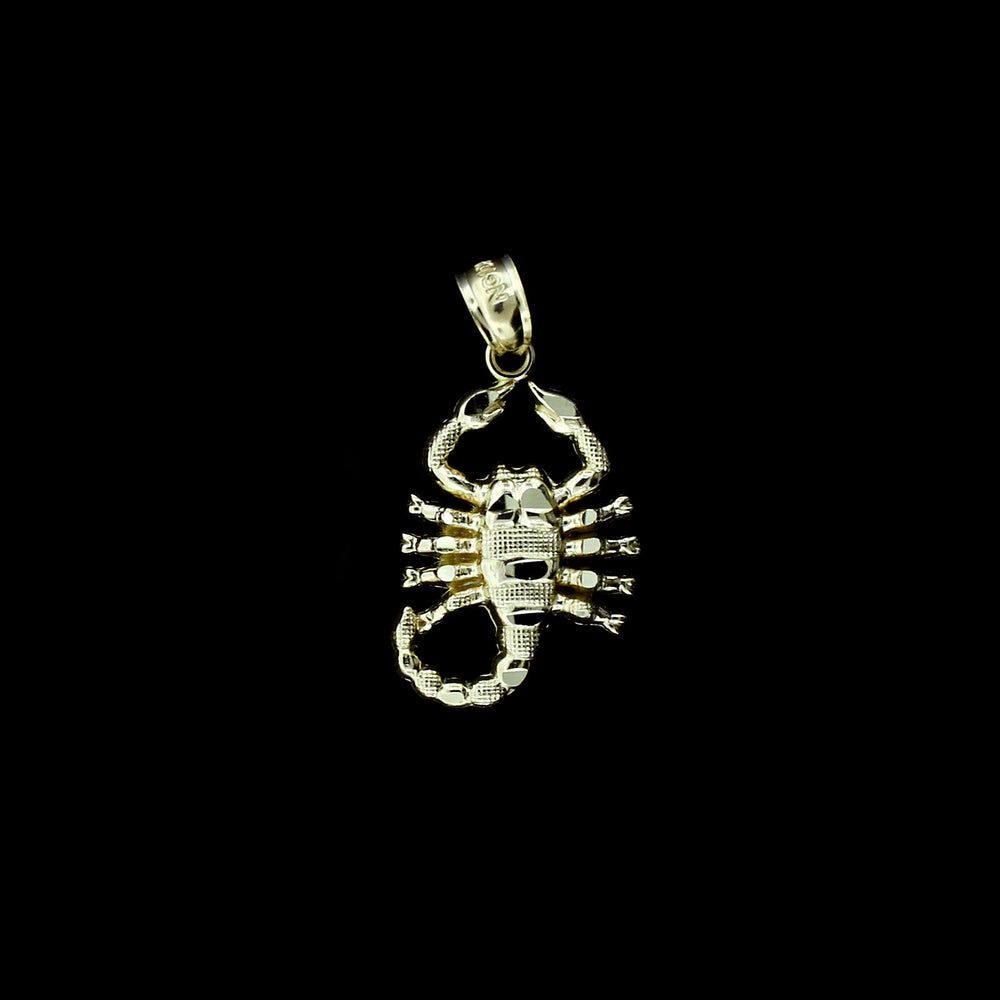 Real 10K Yellow Gold Zodiac Sign Scorpion Pendant & 2.5mm Rope Chain Necklace Set