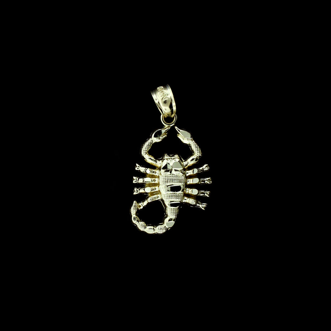 Real 10K Yellow Gold Zodiac Sign Scorpion Pendant &amp; 2.5mm Rope Chain Necklace Set